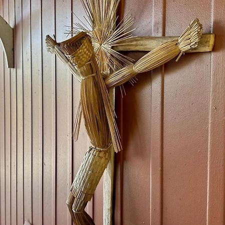 Cozy Rooms Near Busch Gardens タンパ エクステリア 写真